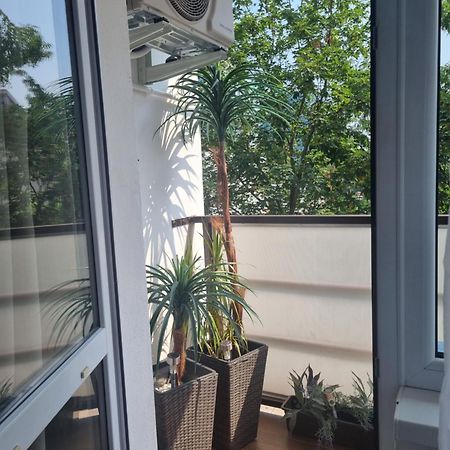 Apartman-Florianska Košice Exteriör bild